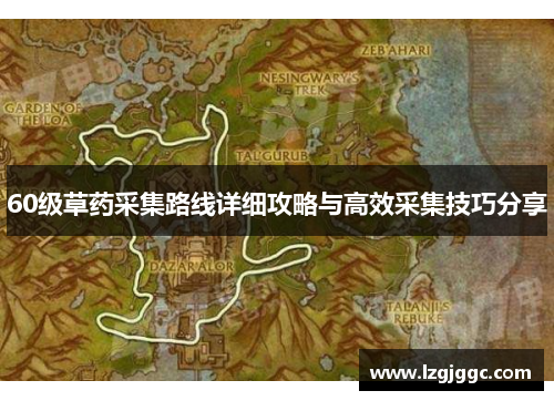 60级草药采集路线详细攻略与高效采集技巧分享