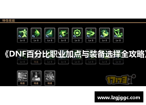 《DNF百分比职业加点与装备选择全攻略》