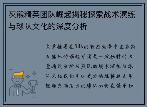 灰熊精英团队崛起揭秘探索战术演练与球队文化的深度分析